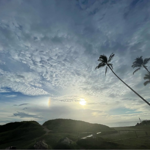 🌞🌺✨……….. - Picture 9 of 16